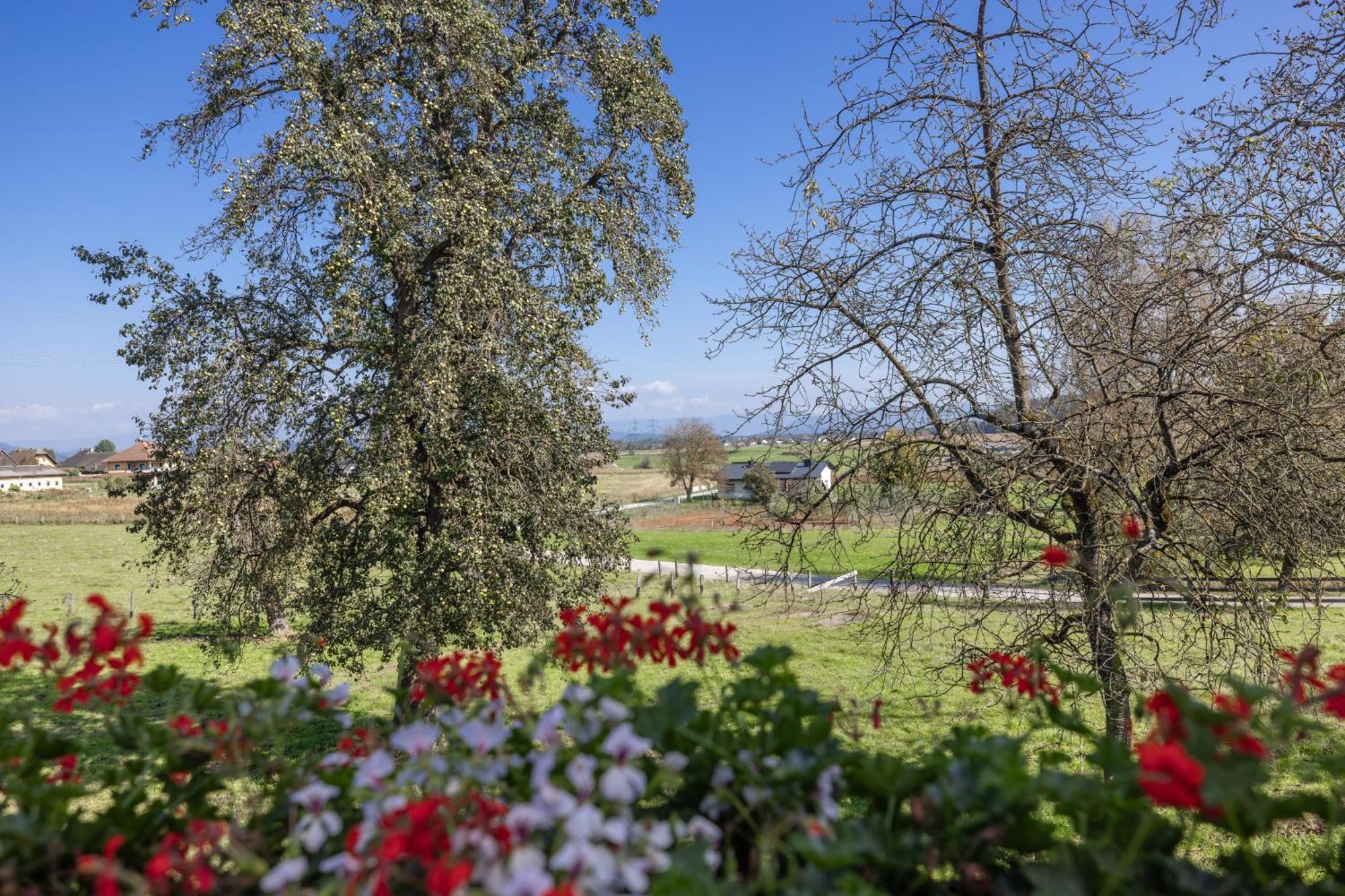 Bauernhof Pension Hofmayer Sankt Kanzian am Klopeiner See Bagian luar foto
